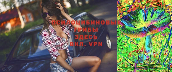 прущие крисы Арсеньев