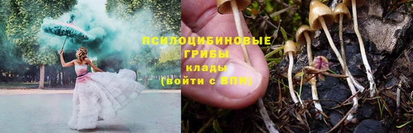 прущие крисы Арсеньев