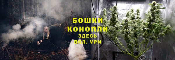 прущие крисы Арсеньев
