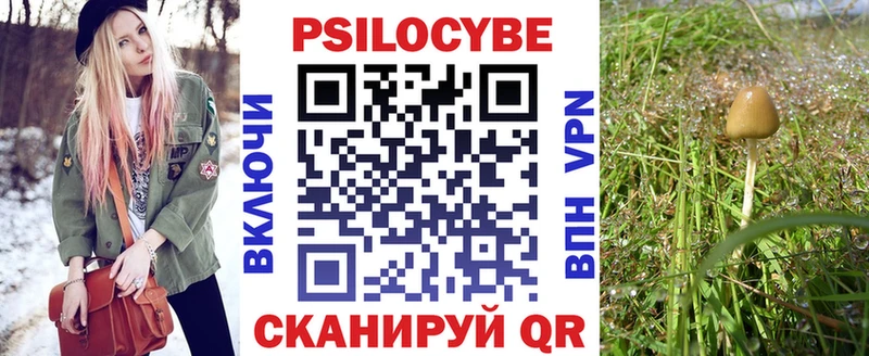 Галлюциногенные грибы Psilocybine cubensis  МЕГА зеркало  Теберда 